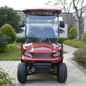 2+2 Seats Golf Cart