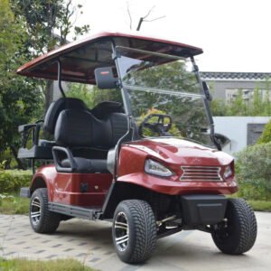 Golf Carts 2+2 Seats